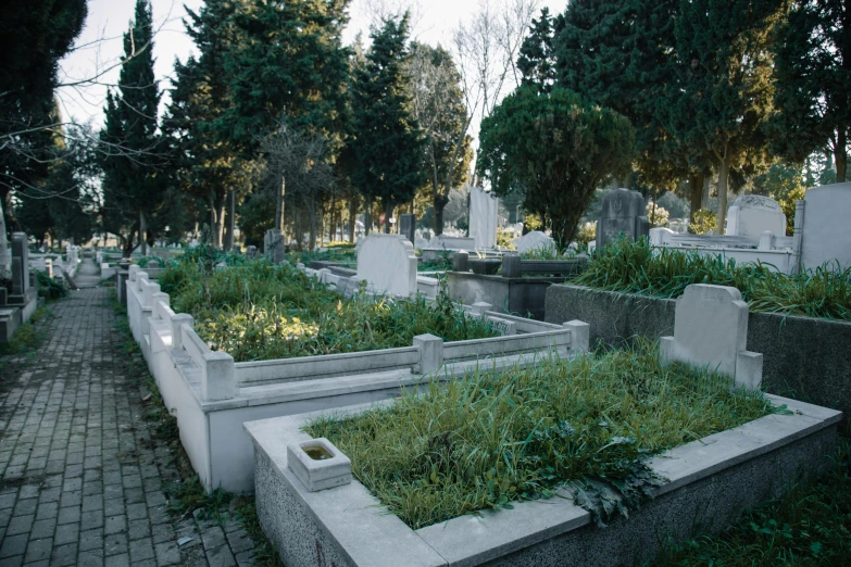 a cemetery filled with lots of tombstones and trees, an album cover, by Arthur Sarkissian, unsplash, turkey, exterior botanical garden, flowerbeds, 3 4 5 3 1