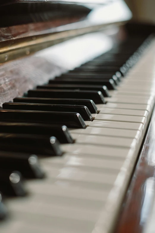 a close up of the keys of a piano, an album cover, by David Simpson, unsplash, modernism, smooth tiny details, long, full piano, recreation