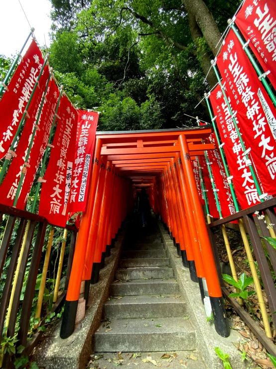 a row of red tori tori tori tori tori tori tori tori tori tori tori tori tori tori, a picture, inspired by Torii Kiyomasu, pexels contest winner, 1 staircase, signboards, pyramid surrounded with greenery, orange and white color scheme