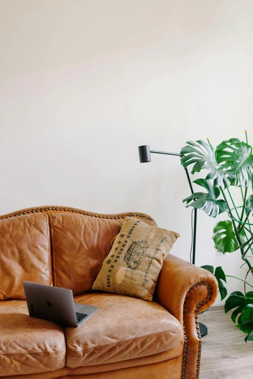 a couch with a laptop sitting on top of it, trending on pexels, large potted plant, leather couch, lamp ( ( ( armchair ) ) ) ), detailed and soft