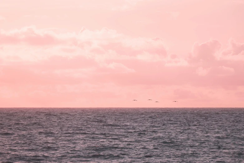 a flock of birds flying over a large body of water, by Elsa Bleda, unsplash, romanticism, pink color palette, shipfleet on the horizon, joel meyerowitz, ocean sprites