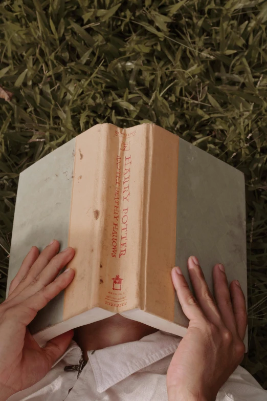 a person laying on the grass reading a book, by Penelope Beaton, still from a wes anderson film, holding a wood piece, made of cement, big opened book