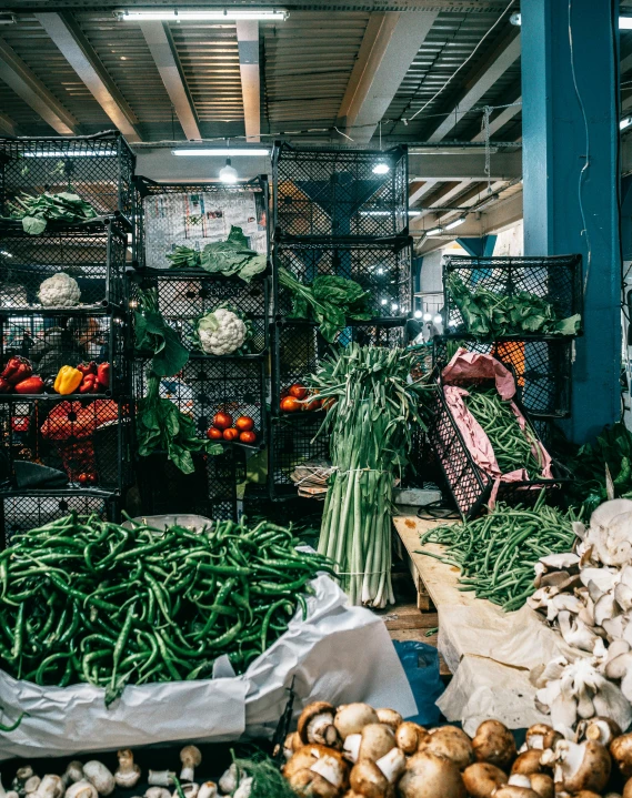 a market filled with lots of different types of vegetables, unsplash, inside a warehouse, greens and blues, 💣 💥💣 💥, beautifully lit