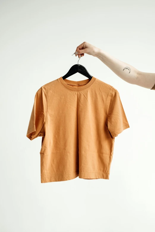 a person holding a t - shirt on a hanger, pexels contest winner, minimalism, pale orange colors, thumbnail, with ripped crop t - shirt, ochre
