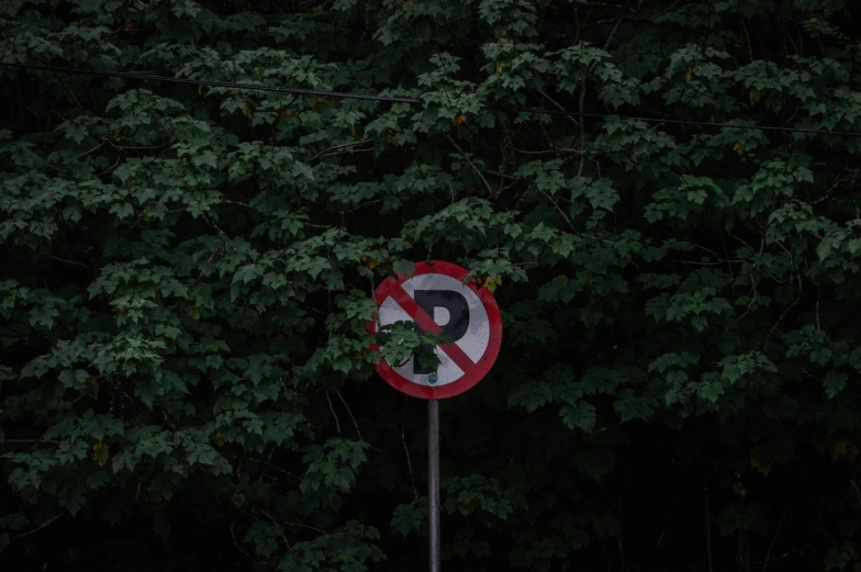 a no parking sign in front of some trees, inspired by Elsa Bleda, unsplash, shot on hasselblad, traffic signs, hedge, 🚿🗝📝