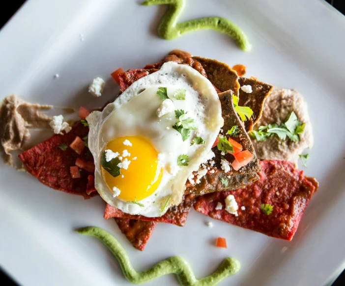 a plate of food with a fried egg on top, guache, square, a phoenix, crisp image