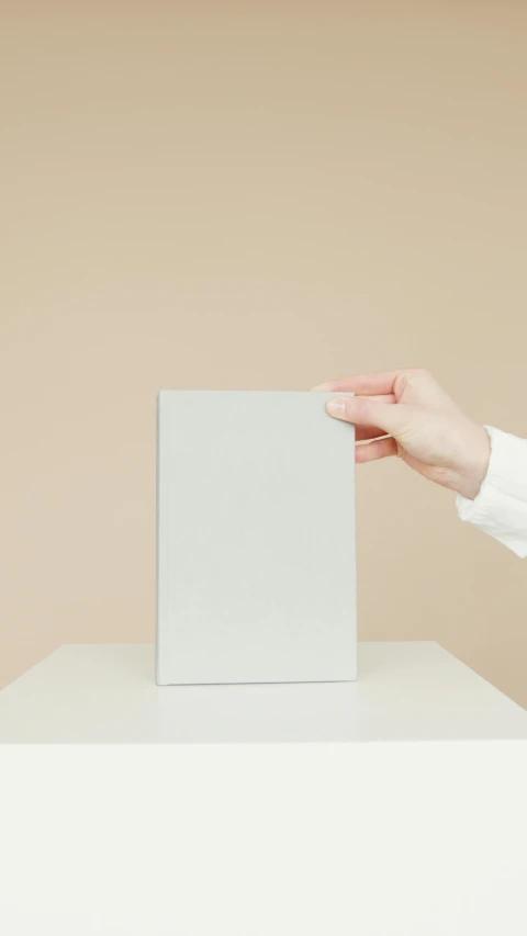 a person putting a piece of paper in a box, a minimalist painting, unsplash, white soft leather model, book cover, thumbnail, waving