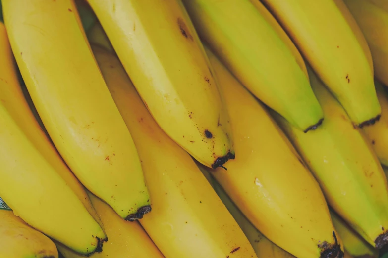 a close up of a bunch of bananas, by Emma Andijewska, pexels, renaissance, background image, 70s photo, thumbnail, fluorescent