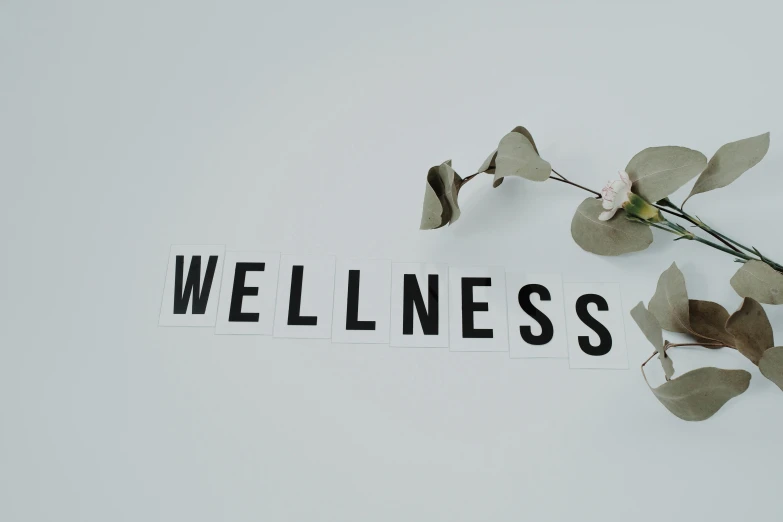 a plant that is next to a sign that says wellness, a photo, pexels, bauhaus, cutout, cardboard, grey, clinical
