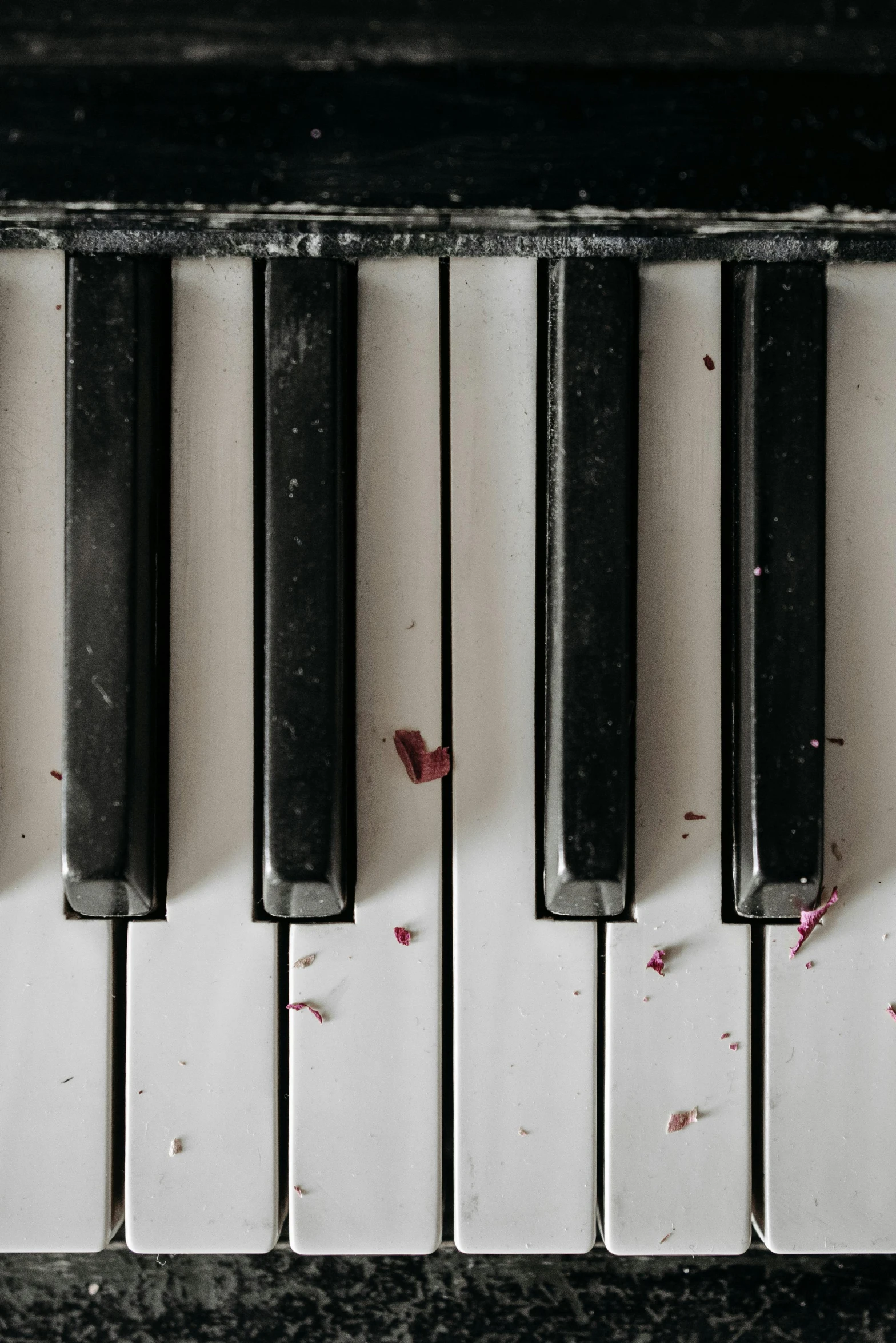 a close up of the keys of a piano, an album cover, inspired by Elsa Bleda, trending on pexels, modernism, wilted flowers, trash polka, 15081959 21121991 01012000 4k, on a gray background