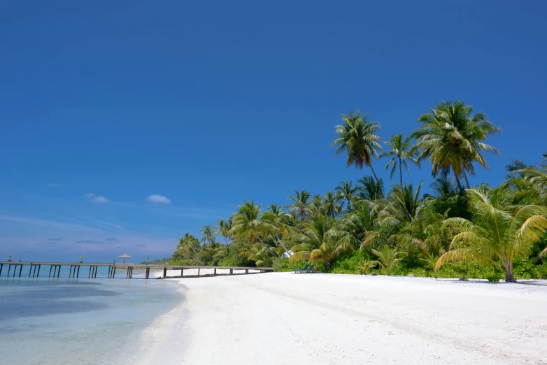 a sandy beach with palm trees and a pier, hurufiyya, clear blue skies, islands on horizon, lena oxton, slide show