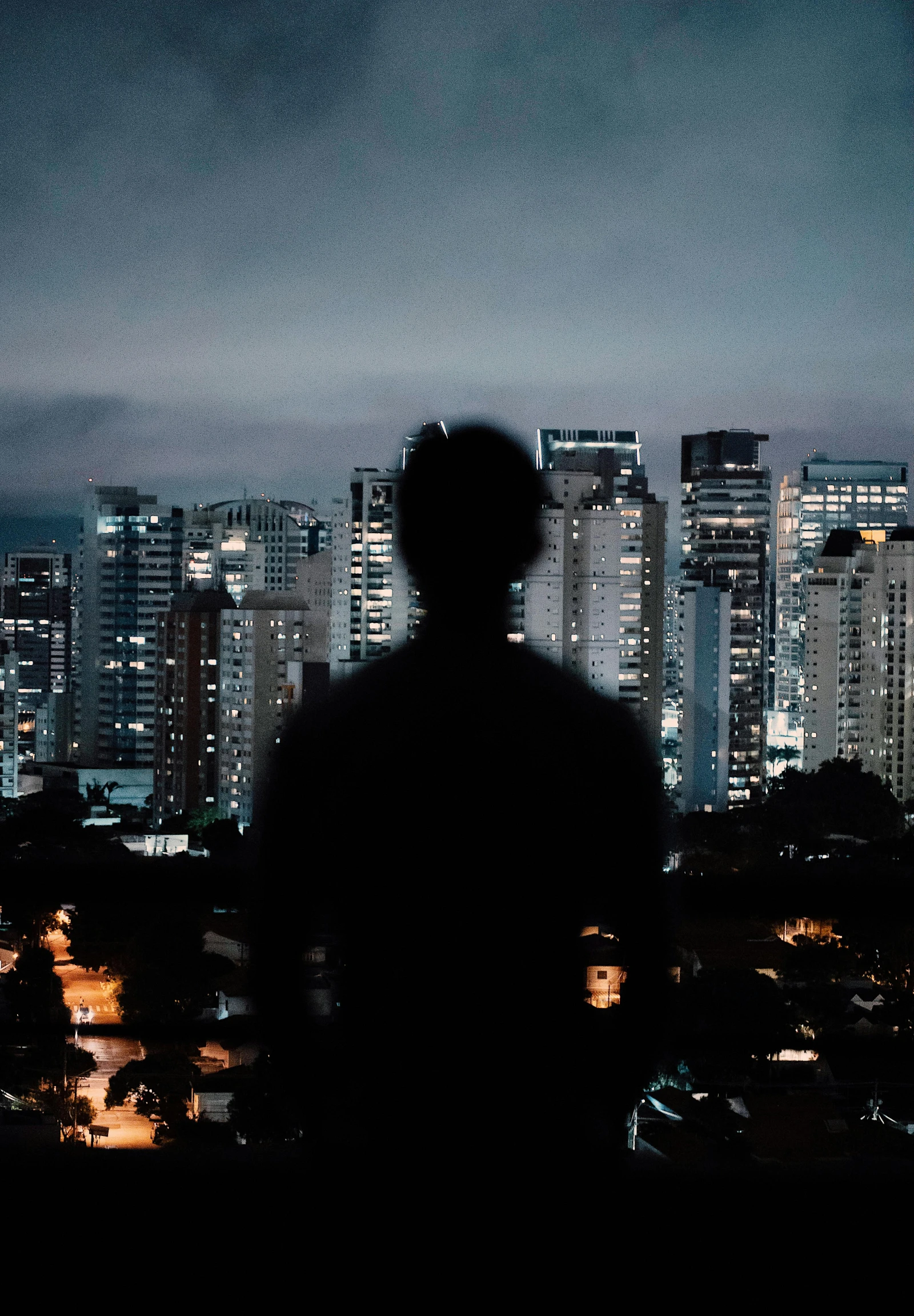 a person standing in front of a city at night, by Matt Stewart, silhouette :7, in sao paulo, buildings in the distance, recognizable