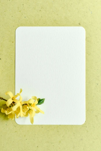 a white card with yellow flowers on it, unsplash, postminimalism, 15081959 21121991 01012000 4k, textured canvas, rounded corners, an orchid flower