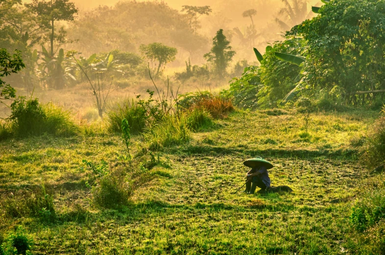 a person sitting in a field with an umbrella, inspired by Fernando Amorsolo, pexels contest winner, sumatraism, early morning light, colourful jungle, farming, japan rural travel