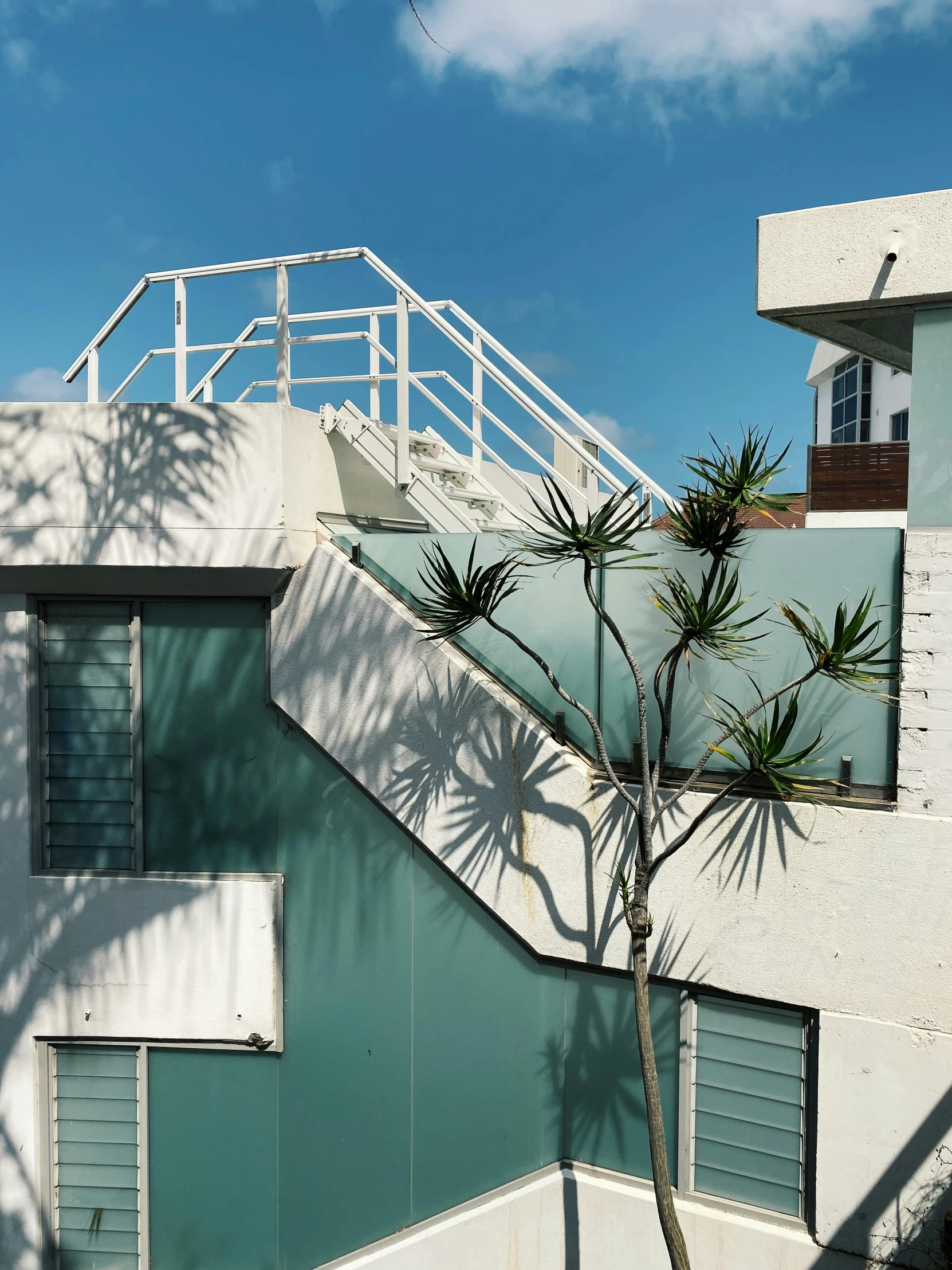 a building with a tree in front of it, an art deco sculpture, inspired by Ned M. Seidler, unsplash, brutalism, stairs to the second floor, sea - green and white clothes, palm lines, color image