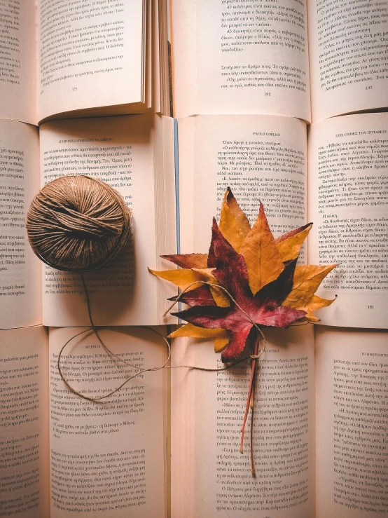 a ball of yarn sitting on top of an open book, a picture, pexels contest winner, arts and crafts movement, leafs, thumbnail, full body close-up shot, brown