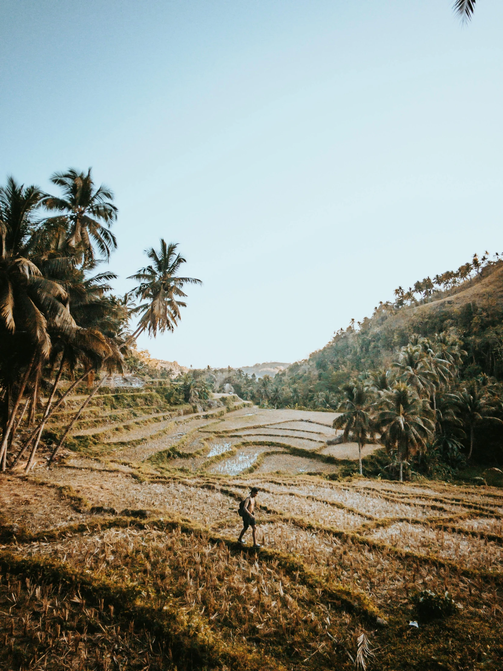 a man walking across a lush green field, pexels contest winner, sumatraism, golden hour in boracay, view of villages, dried palmtrees, panoramic view of girl