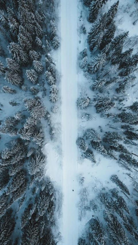 an aerial view of a snow covered forest, by Sebastian Spreng, pexels contest winner, minimalism, road in a forest road, thumbnail, icy eyes, 8k cinematic shot