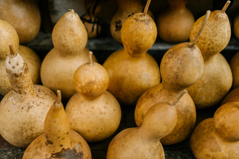 a bunch of gourds stacked on top of each other, by Jan Tengnagel, unsplash, mingei, north island brown kiwi, in a row, amphora, turnip hair