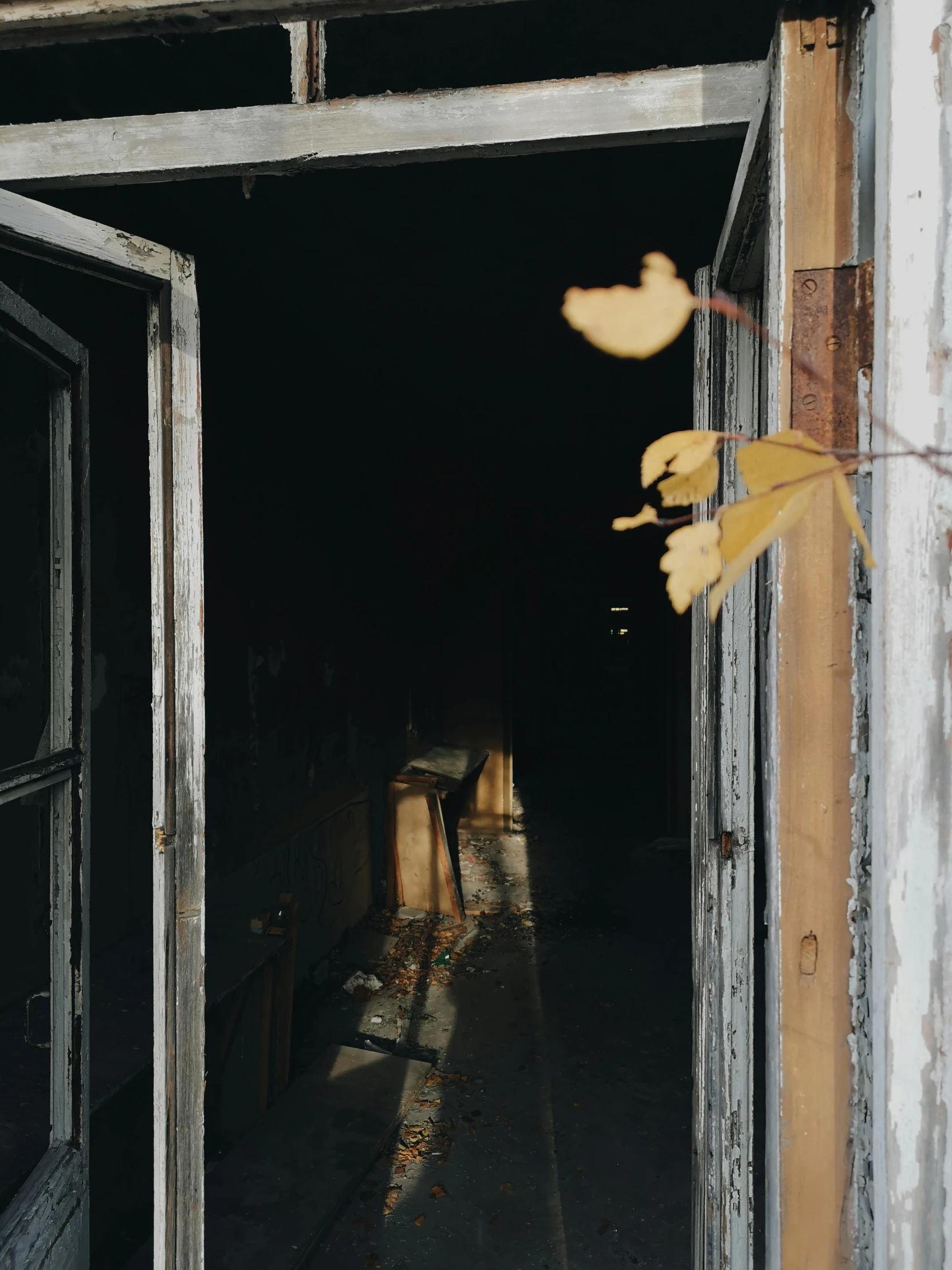 an open door leading into a dark room, inspired by Elsa Bleda, dried leaves, low quality photo, ((rust)), trending on vsco