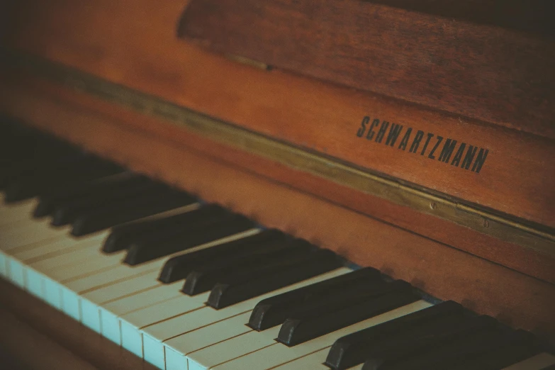 a close up of the keys of a piano, an album cover, by Samuel Birmann, pexels, muted browns, slightly tanned, thumbnail, slightly smiling