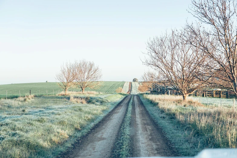 a dirt road in the middle of a field, an album cover, unsplash, winter photograph, driveway, lachlan bailey, background image