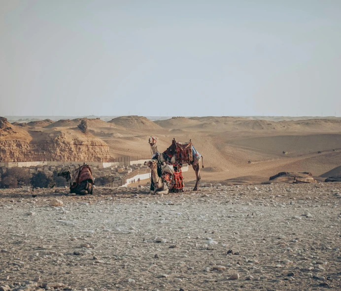 a horse that is standing in the dirt, pexels contest winner, les nabis, egyptian landscape, a group of people, background image, high tech nomads