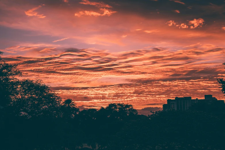 a sunset over a city with trees in the foreground, pexels contest winner, aestheticism, crimson clouds, major arcana sky, unsplash photography, multiple stories
