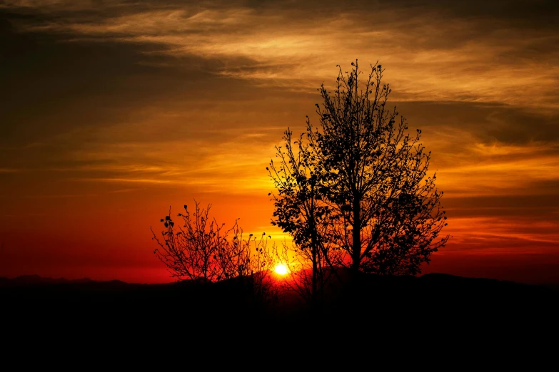 a sunset with a tree in the foreground, by Mirko Rački, pexels contest winner, two suns, red and orange colored, spring evening, silhouette :7