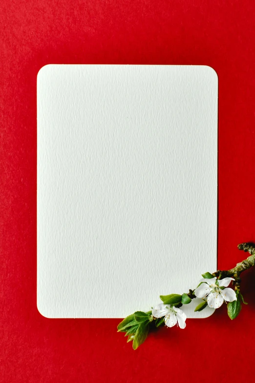 a piece of paper sitting on top of a red surface, flower frame, porcelain white skin, card art, clean white background