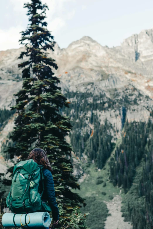 a person with a backpack on top of a mountain, by Jessie Algie, trending on unsplash, spruce trees on the sides, profile image, british columbia, wyoming