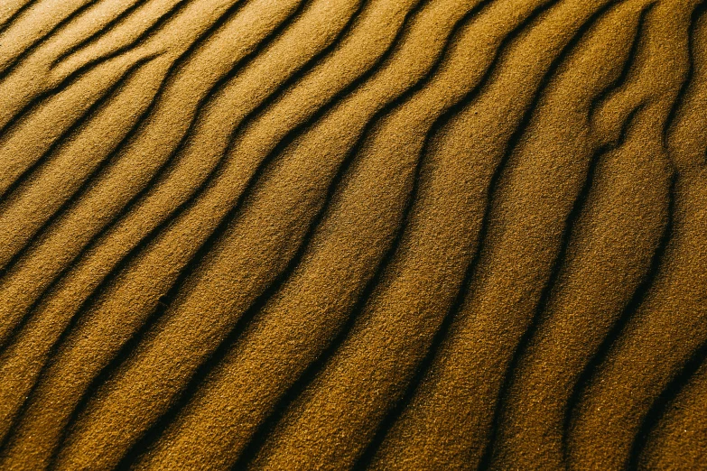 a close up of sand on a beach, unsplash, op art, warm golden backlit, shot on hasselblad, mexican desert, ultrafine detail ”