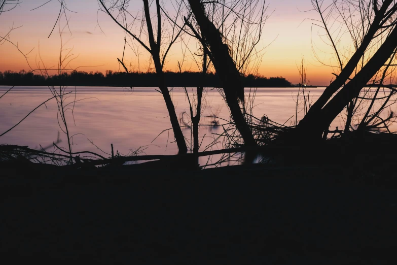 a view of a body of water at sunset, by Winona Nelson, unsplash, romanticism, sparse bare trees, cinematic footage, close river bank, mid shot photo