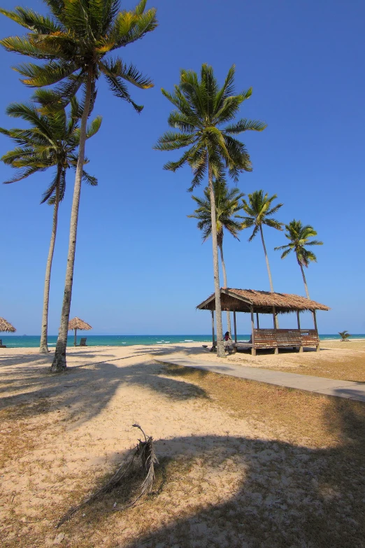 a couple of palm trees sitting on top of a sandy beach, mingei, gazebos, - n 9, heaven!!!!!!!!, longhouse