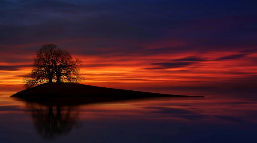 a lone tree sitting on top of a small island, pexels contest winner, romanticism, sky on fire, red and blue reflections, crepuscule, kimberly asstyn