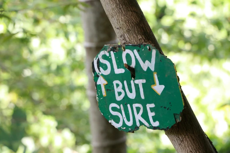a close up of a sign on a tree, by Jessie Algie, unsplash, slow, very silly, wide greenways, quirky shops