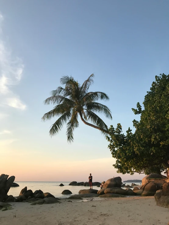 a man standing on top of a sandy beach next to a palm tree, big rocks, at dusk at golden hour, coconuts, phone photo