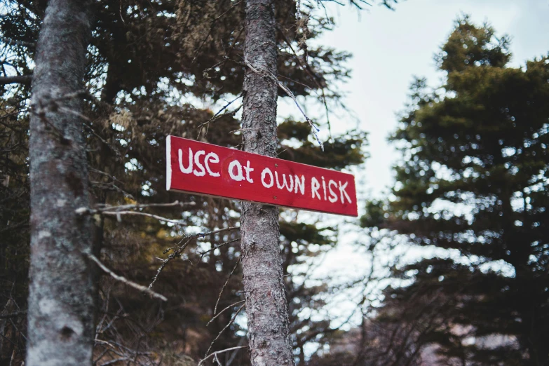 a red street sign sitting in the middle of a forest, by Romain brook, unsplash, excessivism, first aid kit, worksafe. instagram photo, dwell, steep