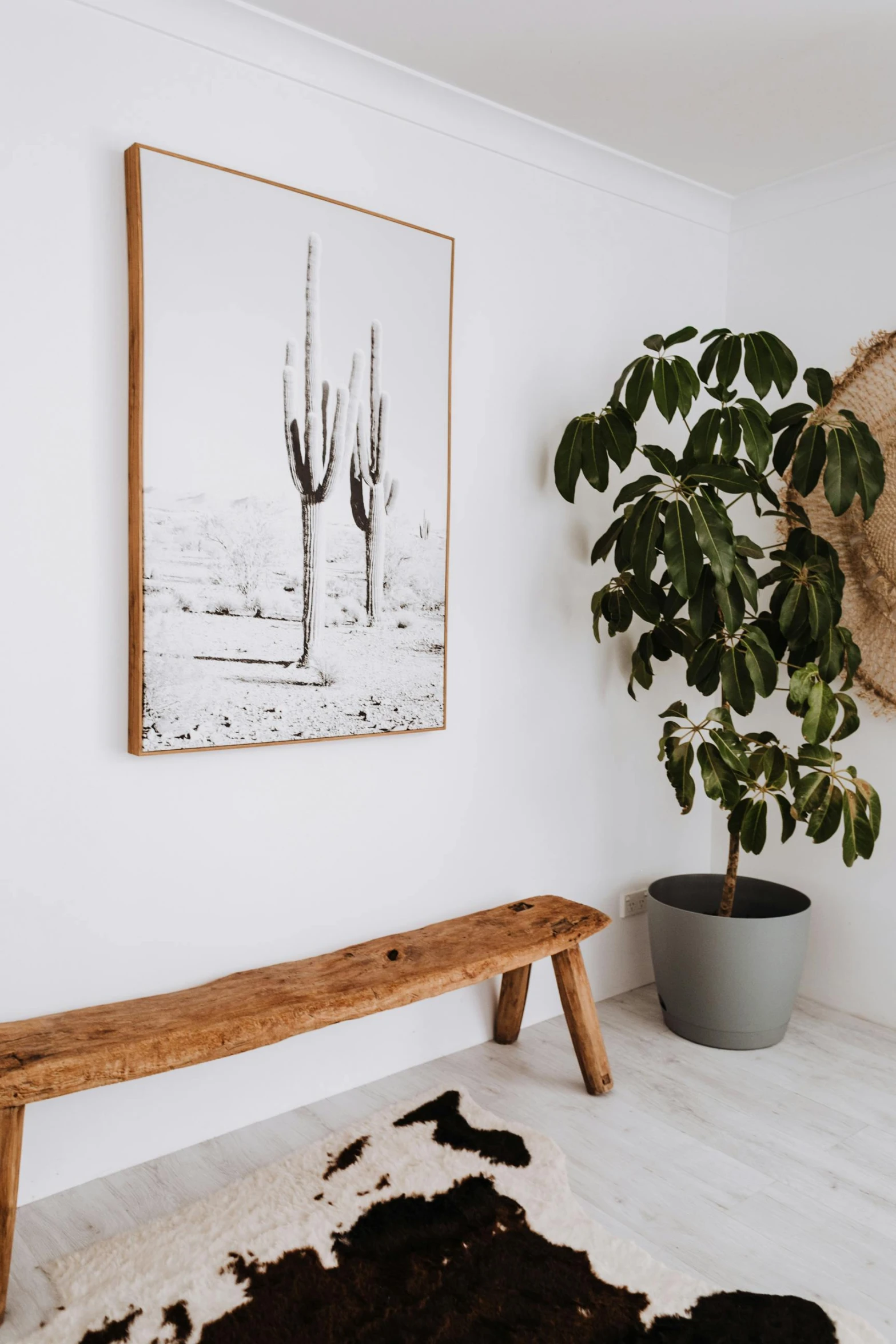 a wooden bench sitting in a living room next to a potted plant, a picture, pexels contest winner, visual art, white wall, cacti, detailed product image, big canvas art