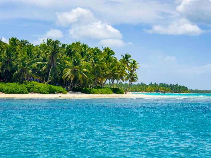 an island in the middle of the ocean surrounded by palm trees, lariennechan, profile image, lush surroundings, watch photo