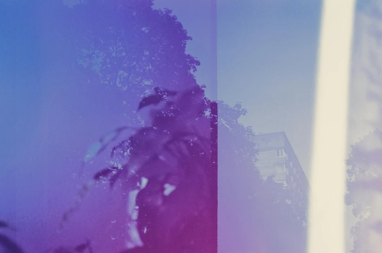 a man riding a snowboard down a snow covered slope, a polaroid photo, inspired by Elsa Bleda, unsplash, lyrical abstraction, purple foliage, gradient cyan to purple, double exposure tree bark, summer afternoon
