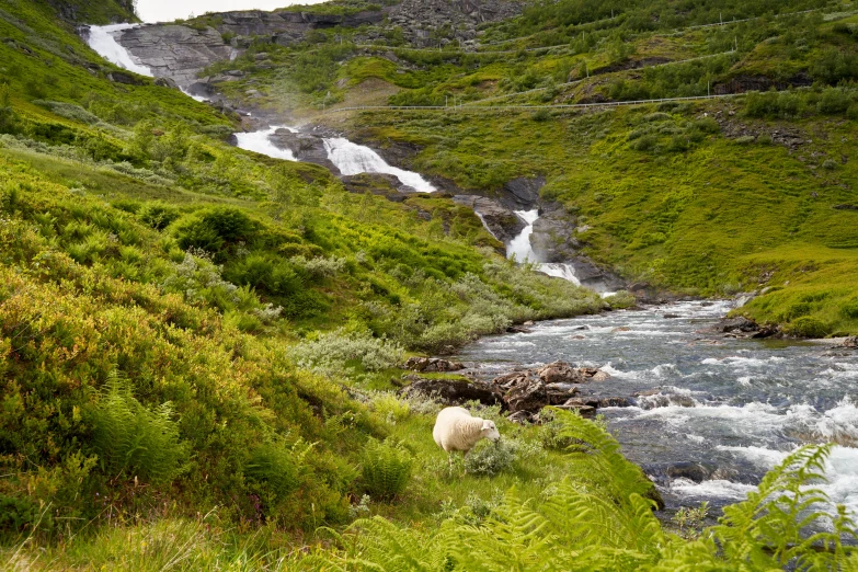 a herd of sheep standing on top of a lush green hillside, by Jørgen Roed, hurufiyya, a river flowing with waterfall, eero aarnio, with lots of vegetation, thumbnail