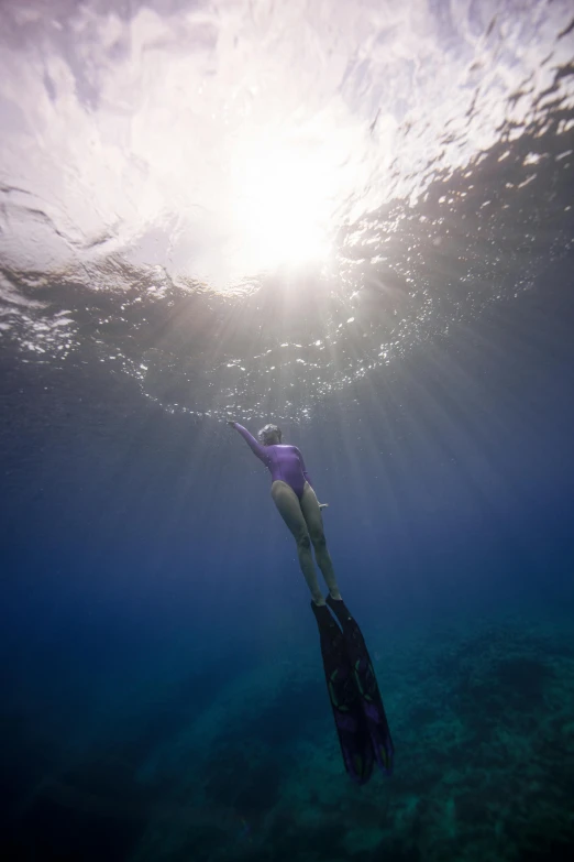 a person swimming in the ocean on a sunny day, by Jessie Algie, unsplash, coral sea bottom, sup, deep dark purple waters, looking upwards