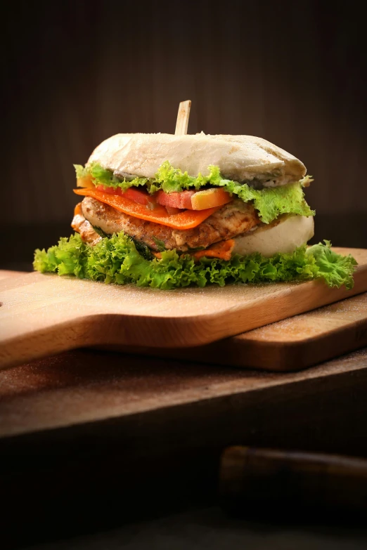 a sandwich sitting on top of a wooden cutting board, a picture, by Andries Stock, unsplash, photorealism, full round face!, flying saucer, grilled chicken, 7 0 mm. dramatic lighting