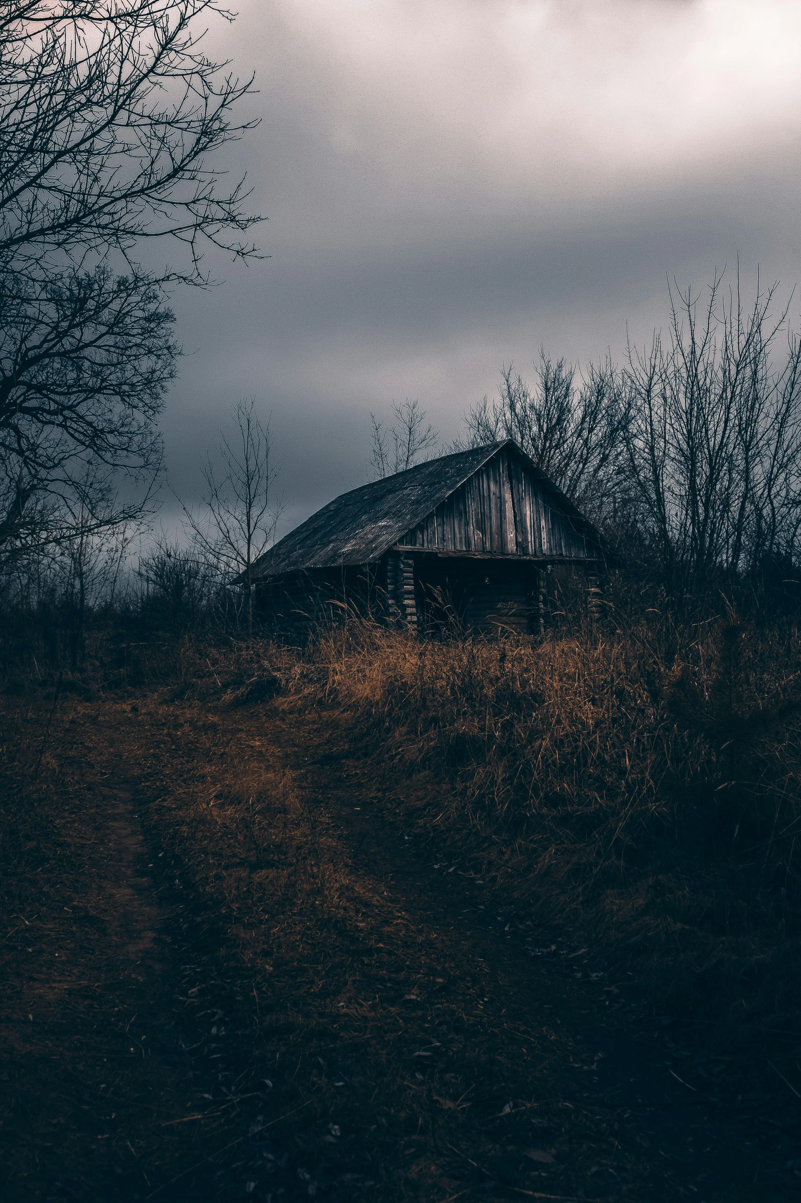 a house sitting on top of a hill under a cloudy sky, an album cover, by Adam Szentpétery, unsplash contest winner, old cabin, dark woods, barn, deserted