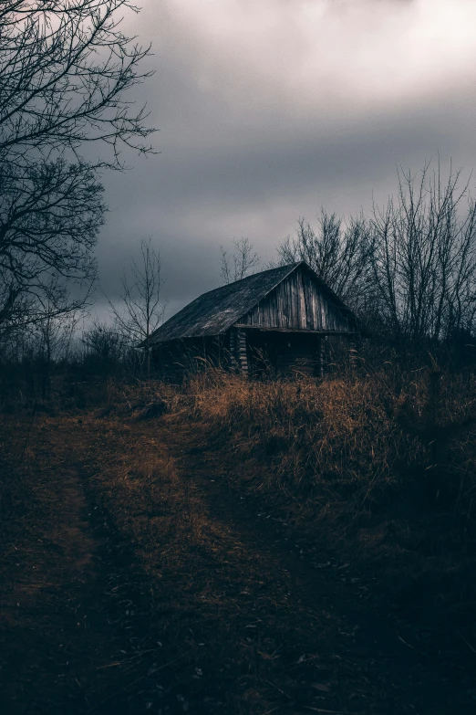 a house sitting on top of a hill under a cloudy sky, an album cover, by Adam Szentpétery, unsplash contest winner, old cabin, dark woods, barn, deserted