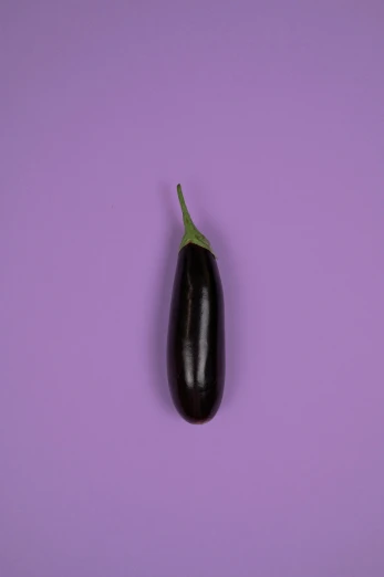 an eggplant on a purple background, an album cover, unsplash, hyperrealism, ffffound, pose 4 of 1 6, high resolution photo, blank