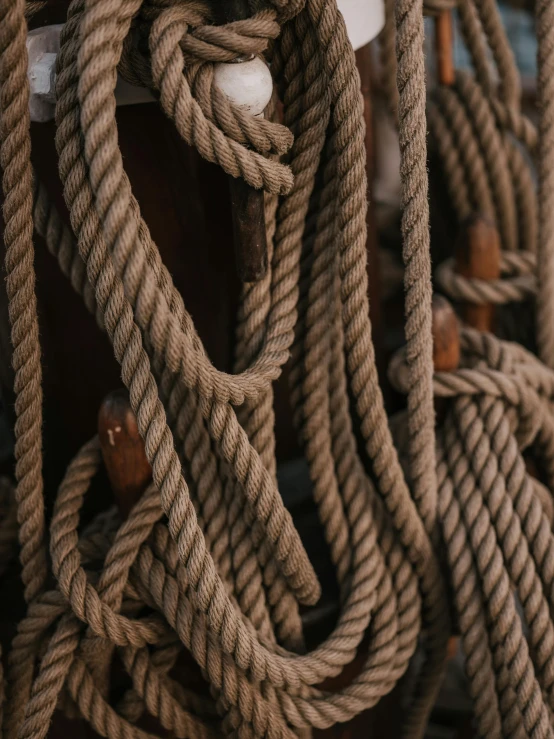 a bunch of rope hanging from the side of a boat, trending on pexels, renaissance, muted brown, ilustration, stacked image, sailor clothing