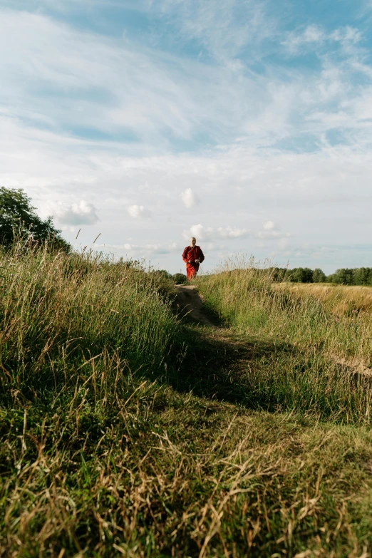 a red fire hydrant sitting on top of a lush green field, by Jan Tengnagel, unsplash, visual art, girl walking between dunes, monk, denmark, she is walking on a river