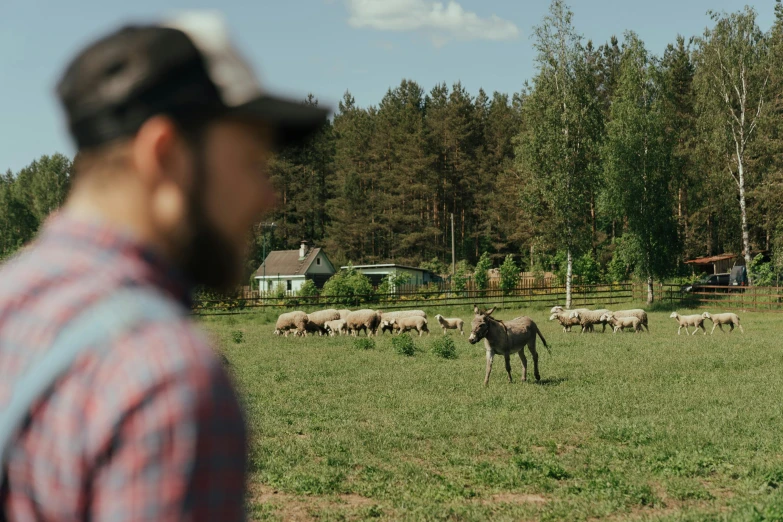 a man standing in a field looking at a herd of sheep, by Jaakko Mattila, hurufiyya, ecovillage, daniil kudriavtsev, still frame, forrest in the background